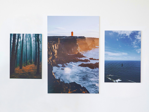 Triptych metal photo print showcasing nature images.
