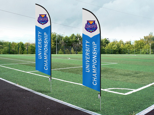 Two feather flags reading University Championship along with the team's emblem.