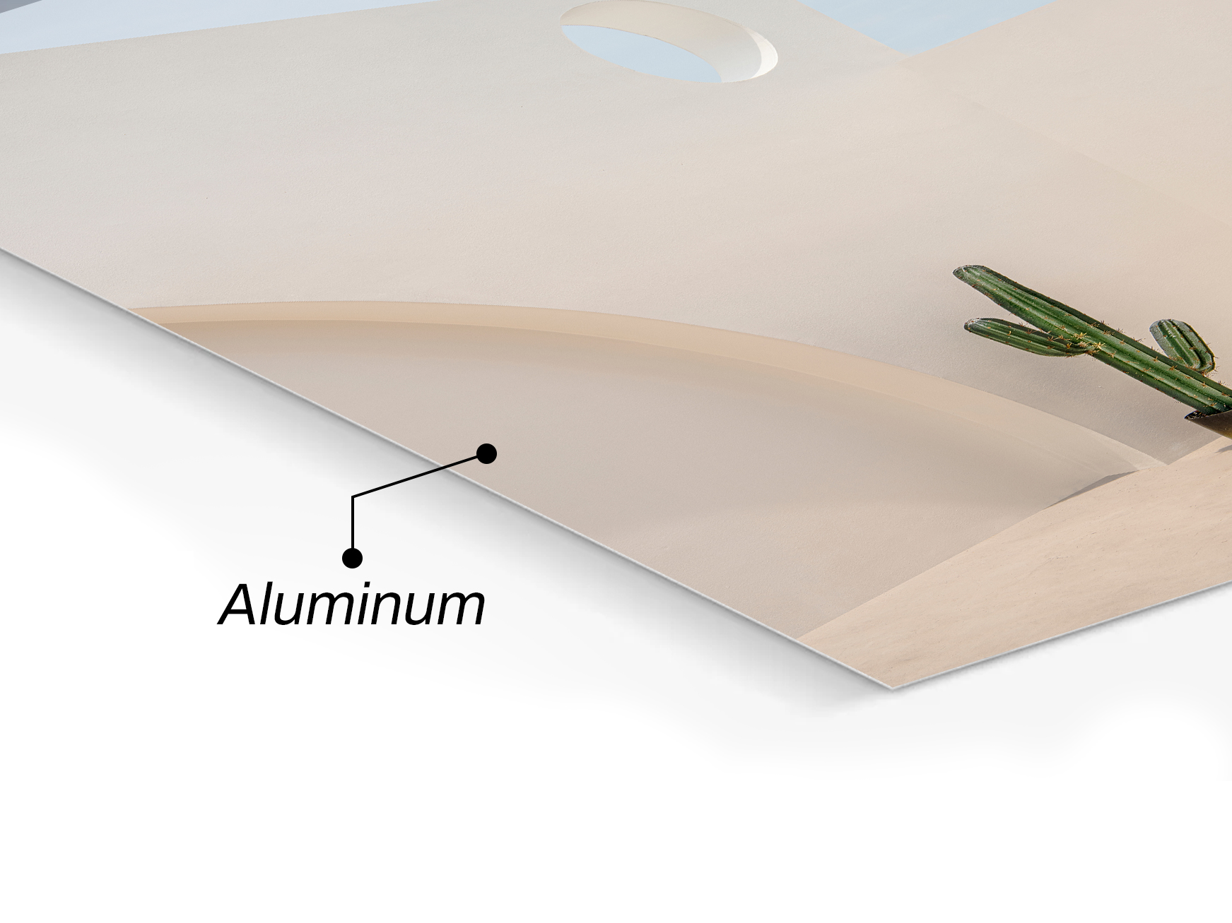 Standard aluminum image closeup with a cactus image.